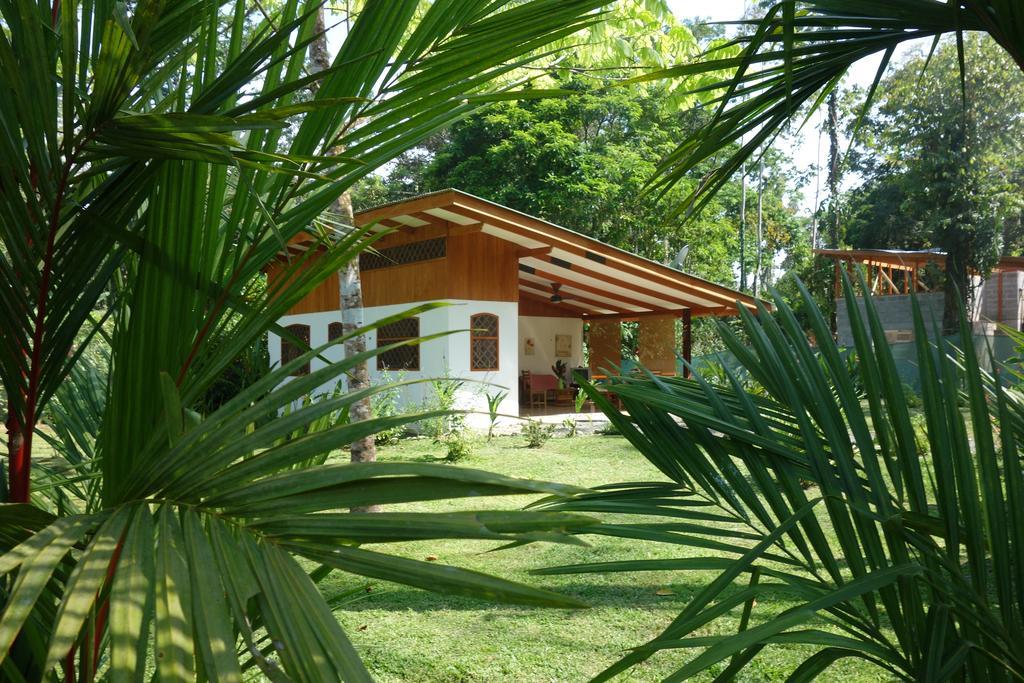 Los Delfines Lodge Puerto Viejo de Talamanca Номер фото
