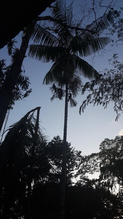 Los Delfines Lodge Puerto Viejo de Talamanca Номер фото