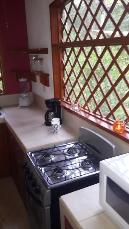 Los Delfines Lodge Puerto Viejo de Talamanca Номер фото